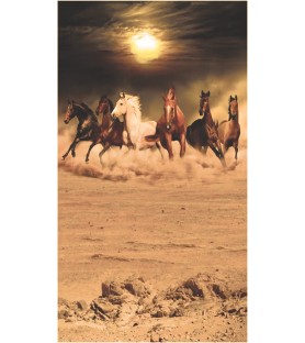 Drap de Plage 100x180 cm